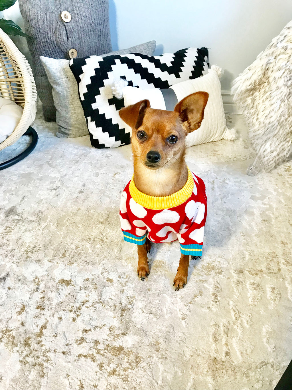 Pet Heart Color Blocked Sweater - Perception0one.com