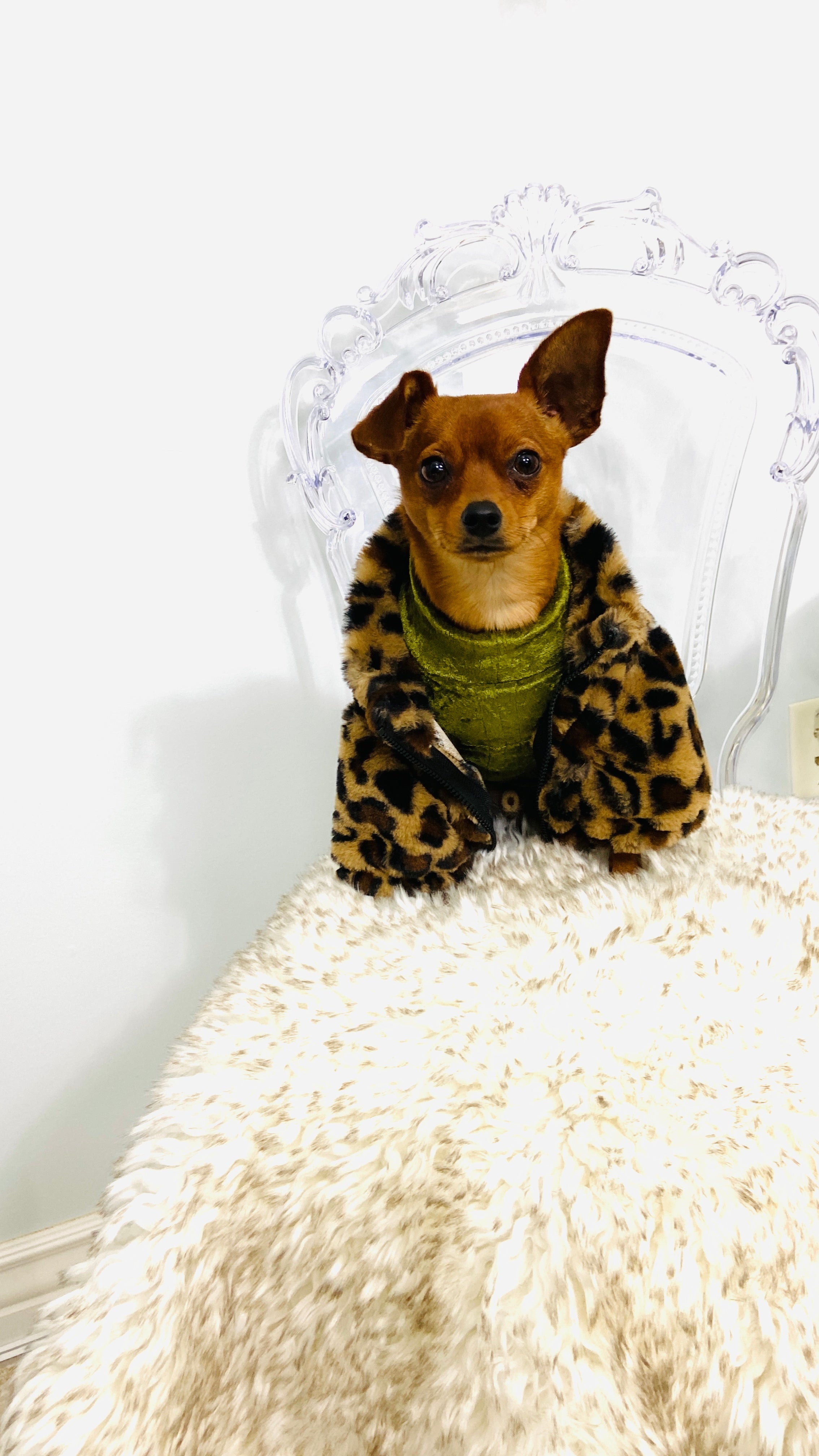 Pet Leopard Lux Fur Coat - Perception0one.com