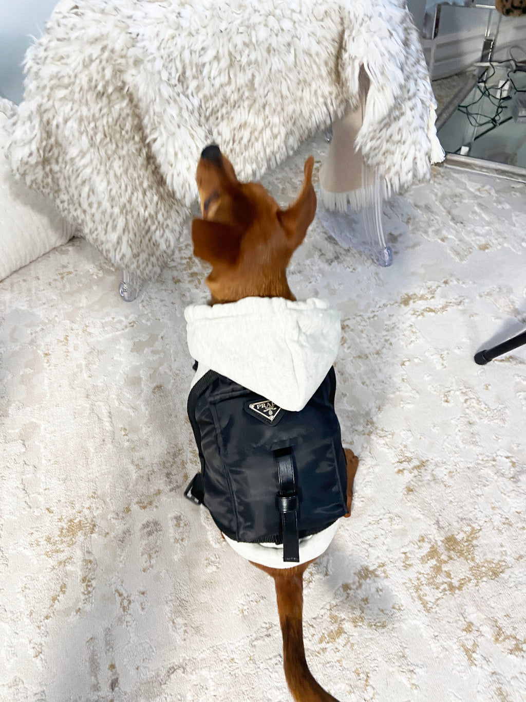 Pet Pawda Nylon Back Pack - Perception0one.com