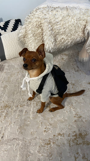 Pet Pawda Nylon Back Pack - Perception0one.com