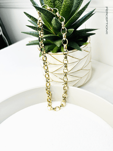 Parisian Heavy Single Chain Necklace - Perception0one.com