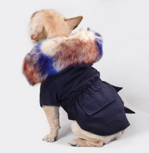 Pet Parka - Perception0one.com