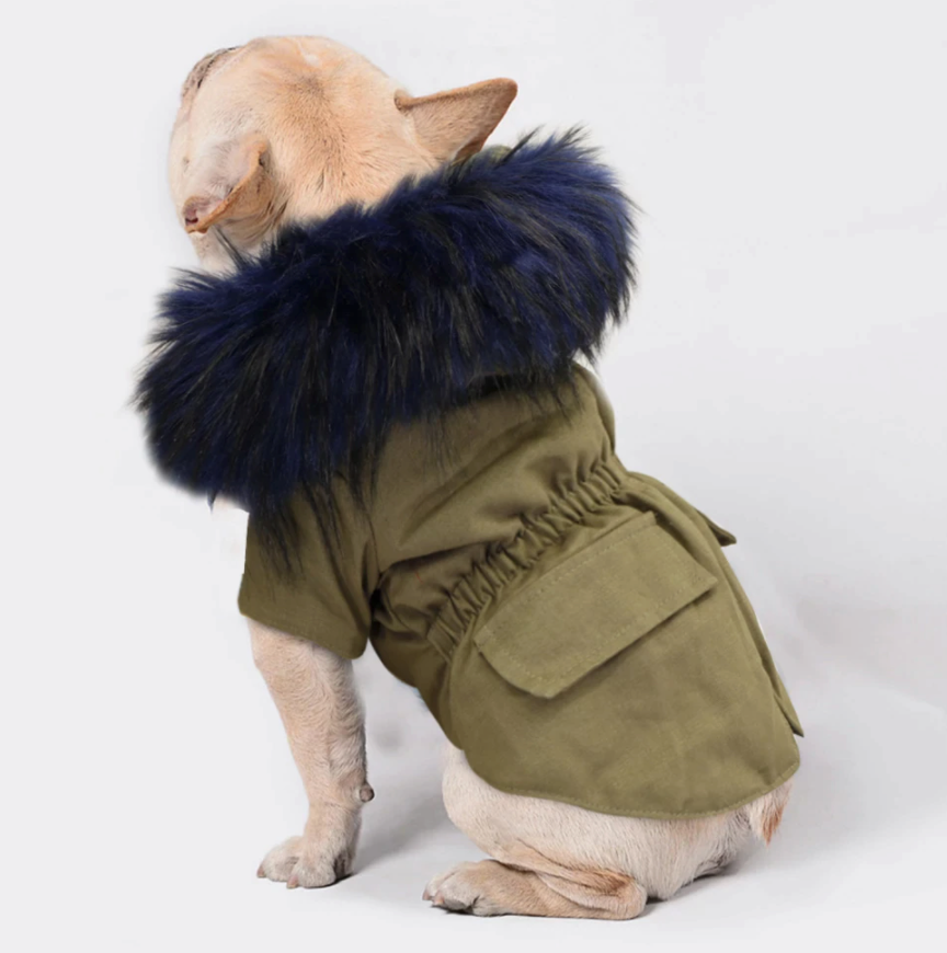 Pet Parka - Perception0one.com