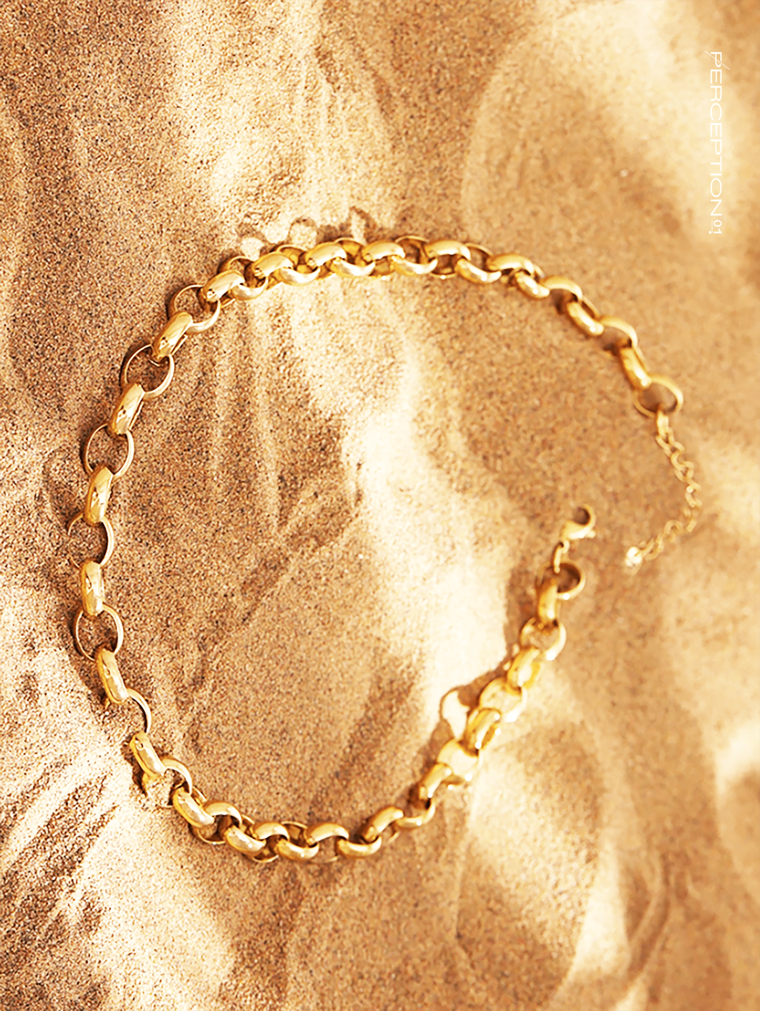 Parisian Heavy Single Chain Necklace - Perception0one.com